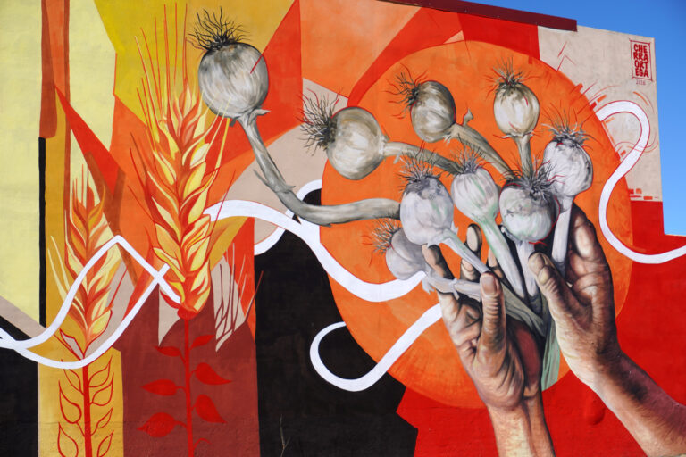 ajo, tierra y pigmento mural 2026 (7)